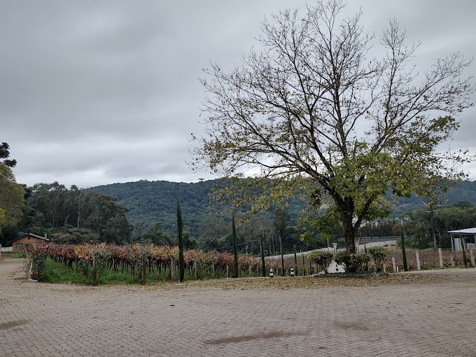 IMG_20210618_110644150_HDR